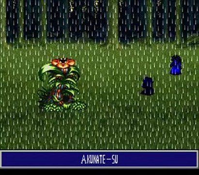 rudora no hihou boss 2 Riza