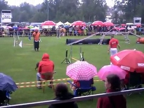 European Open Agility Championship 2011 - Medium France