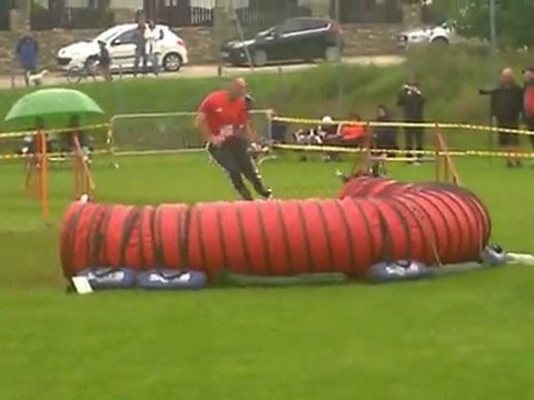 European Open Agility Championships 2011 - Large France