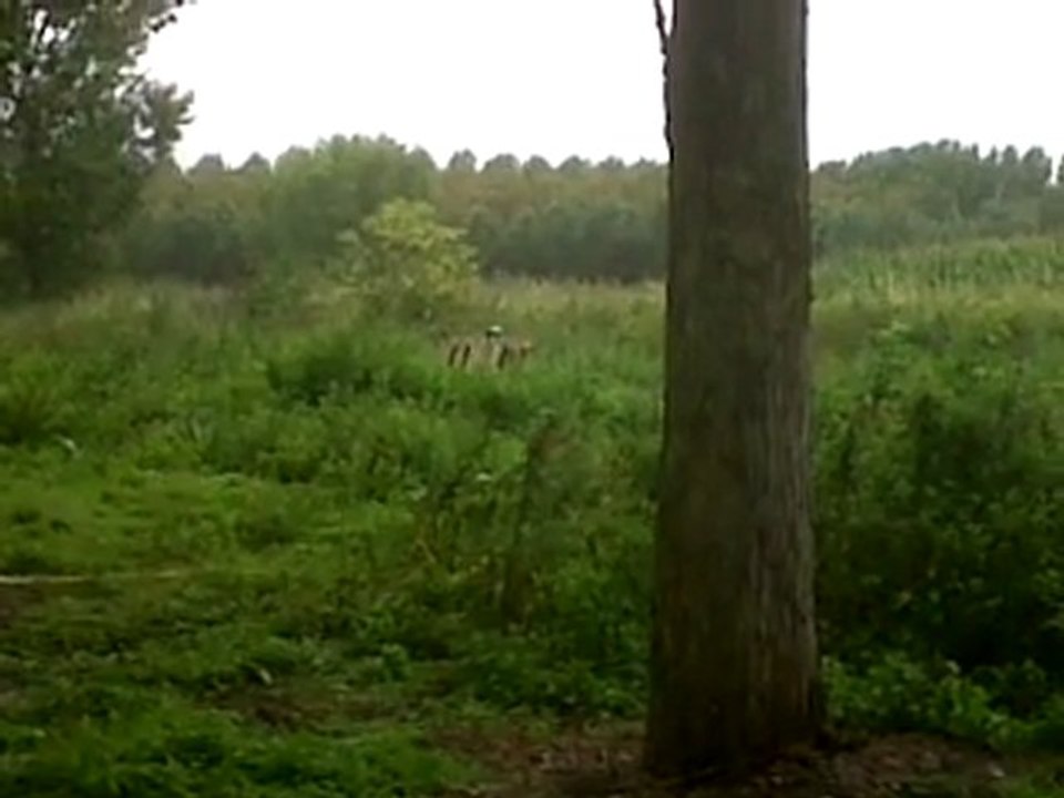 VID 00005-20110813-1137