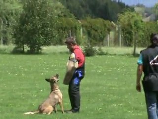 Gilda-IPO1-Juli-2011-Schutz