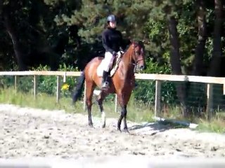 Reprise Dressage - G7
