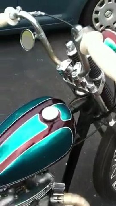 Triumph Video