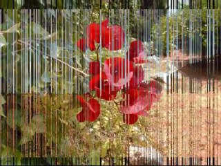 POR EL PUERTO SANTA MARIA -  L.HAGUA