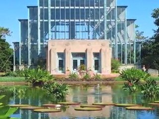 Holiday Inn Forest Park Video Tour