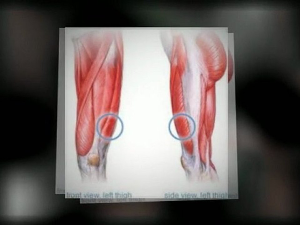 exercices pour se muscler les cuisses