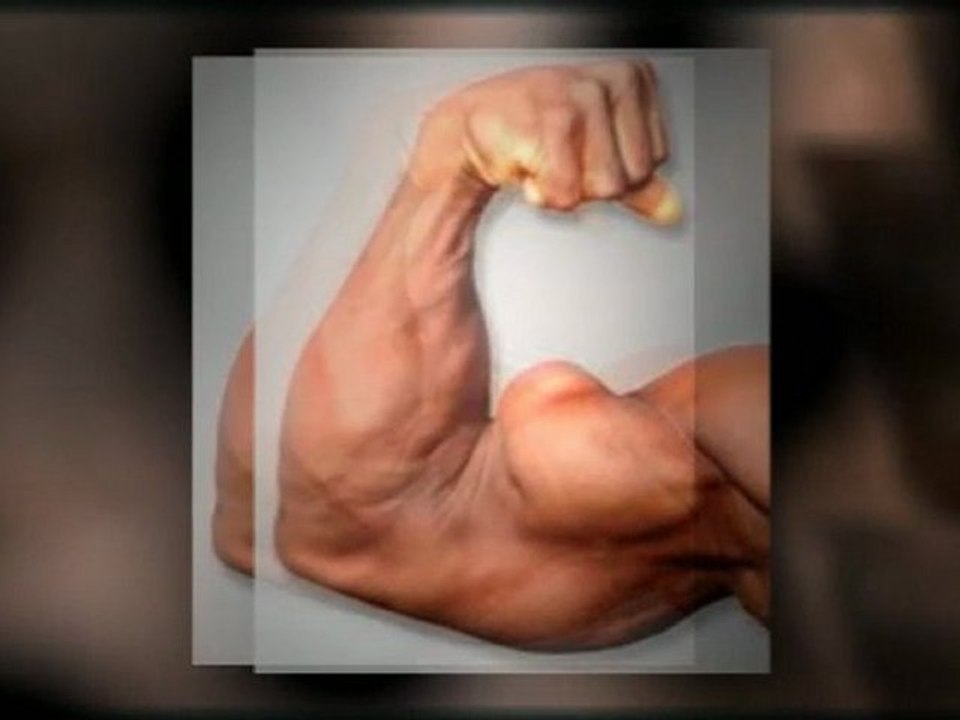 exercice pour perdre des bras