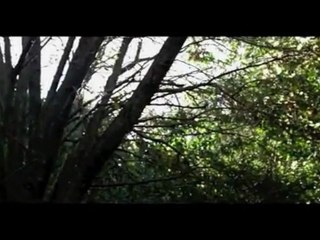 Aussie Talent Showcase 1x07 (Part Four) - YouTube