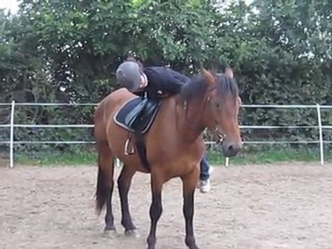 Uxley, selle, appuis et sac à pattate