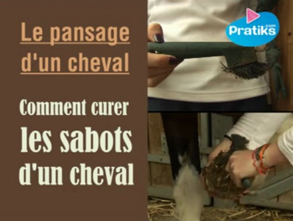 Equitation - Comment curer les pieds d'un cheval ?