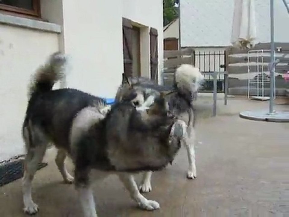 Earl et Kenza