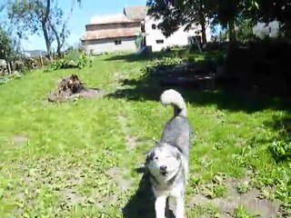 la joie de se retrouver