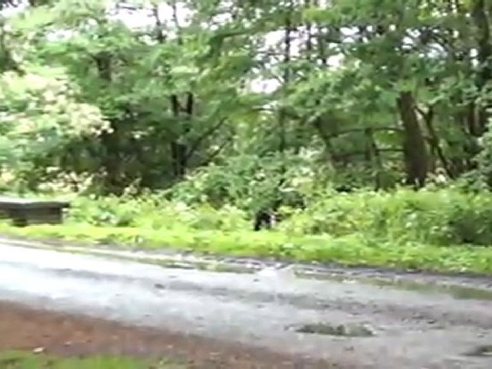 20110619101428