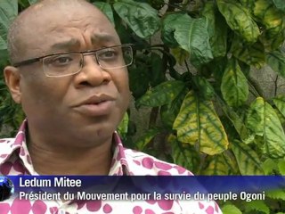 Nigeria: le pays Ogoni frappé par la malédiction de l'or noir