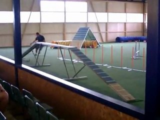 Coupe des nations 2011 - Antoine et son dindon : Brezhoneg