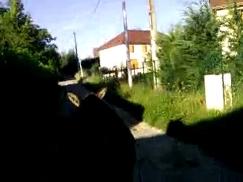 Travail aux longues rênes