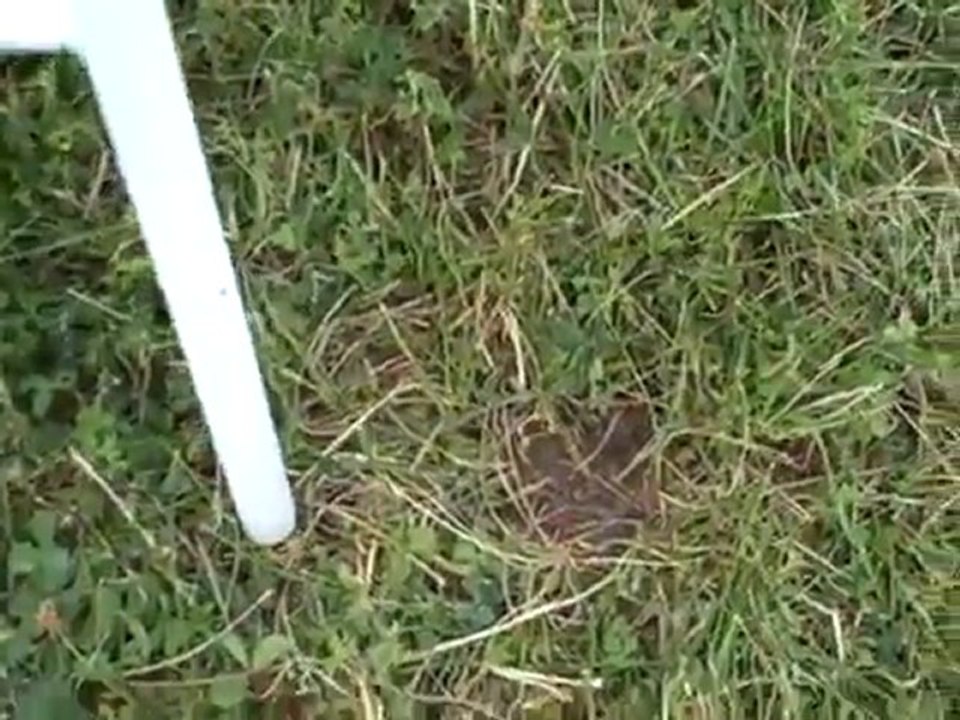 Is This Folding 2 Step Stool Safe for Aircraft