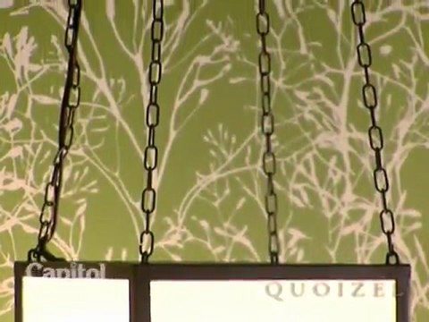 Quoizel Lighting Millenium Chandelier Collection Video