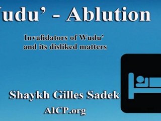 Invalidators of Wudu_ and its disliked matters