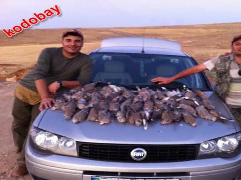 ÜVEYİK AVI 2011 AÇILIŞ BATMAN