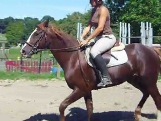 galop