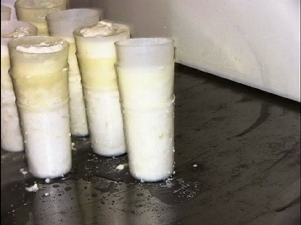 Fabrication du Fromagede chèvre AOC"Charolais"