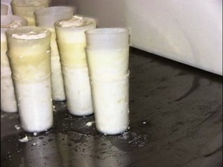 Fabrication du Fromagede chèvre AOC"Charolais"