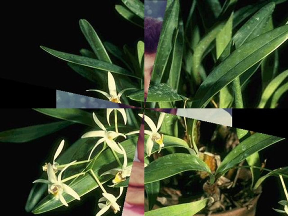 SİNAN ERKILIÇ İÇİME DOĞMUŞTU SANKİ