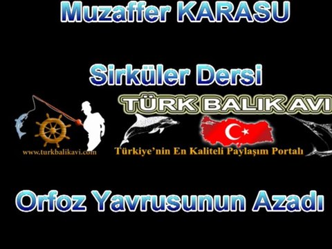 Muzaffer KARASU Orfoz Yavrusunun Bırakılışı