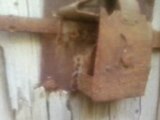 lessouda sidi bouzid  fermeture de porte trés ancienne (1)
