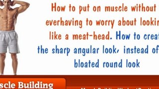 Muscle Building Workout Routines