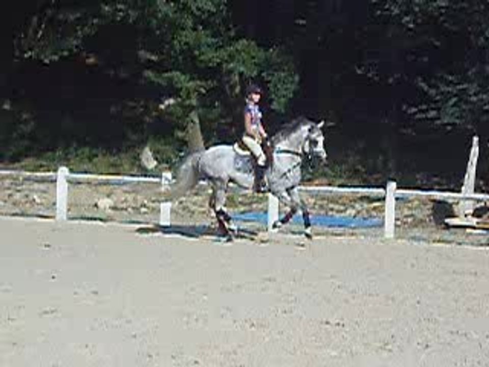 St George (9)