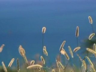 My Video