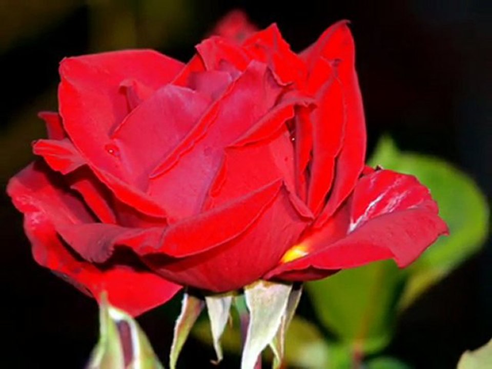 BAKMIYOR ÇEŞMİ SİYAH FERYADE