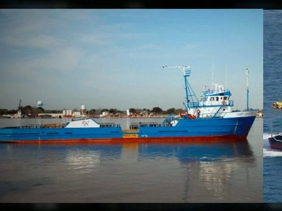 Searching for the Ideal General Cargo Ships