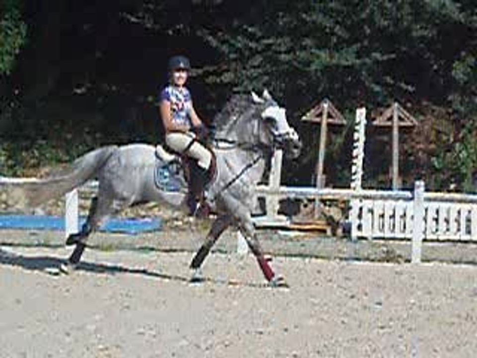 St George (10)