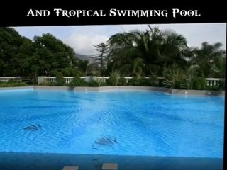 Refresh And Recharge Yourself At Dubai Spas