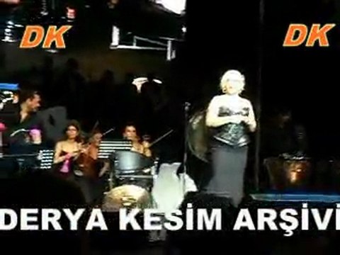 SEZEN AKSU AÇIKHAVA KONSERİ 1