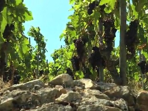 Itinéraire découverte en Hermitage