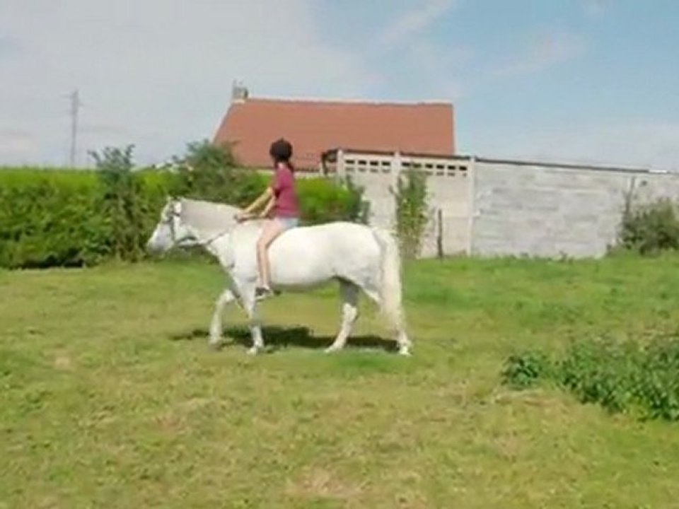 Oliska en licol étho 17 aout 2011