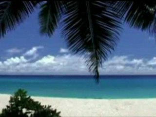 Honeymooner killed by shark in Seychelles