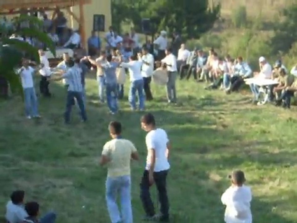 şenlik