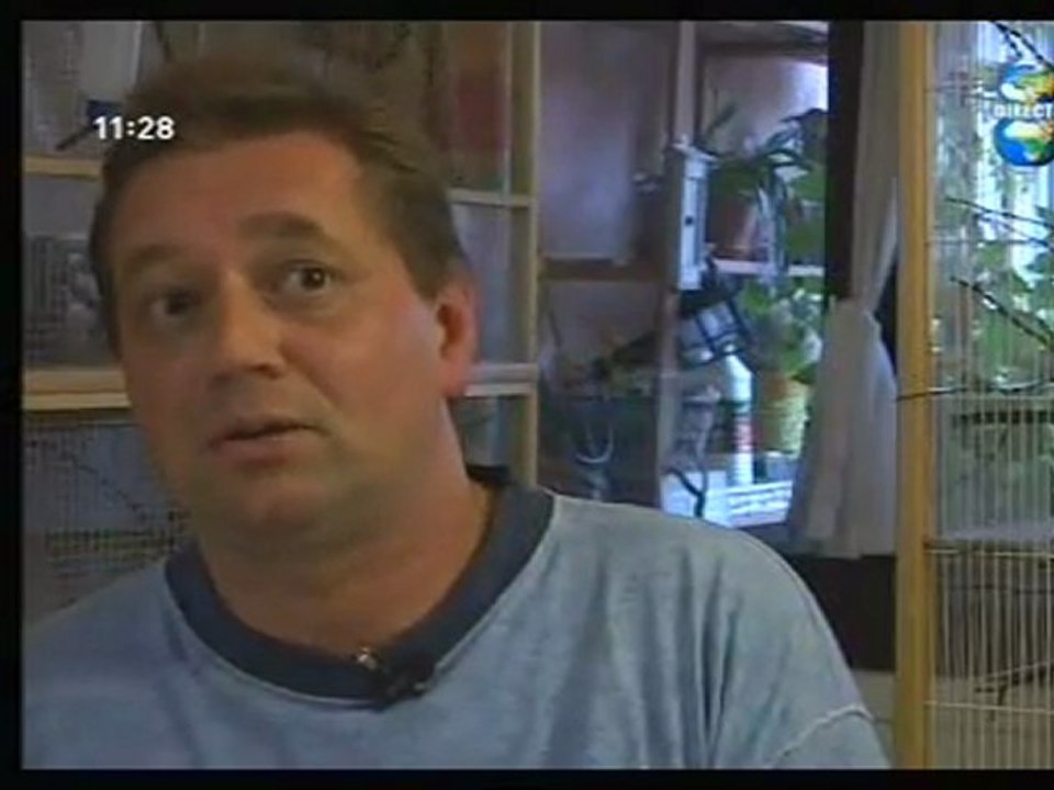 Direct 8 partie 1