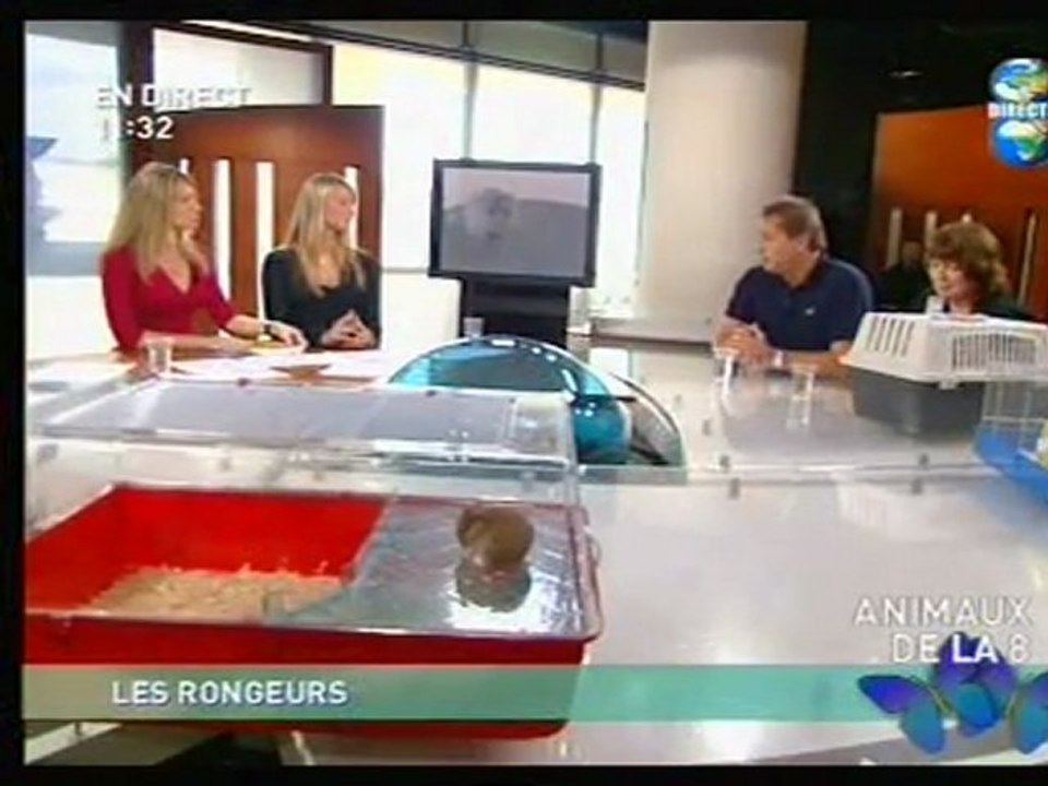 Direct 8 partie 2