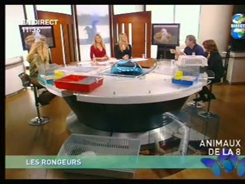 Direct 8 partie 3