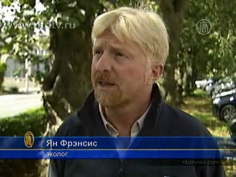 Shell: утечка нефти в Северное море минимальная