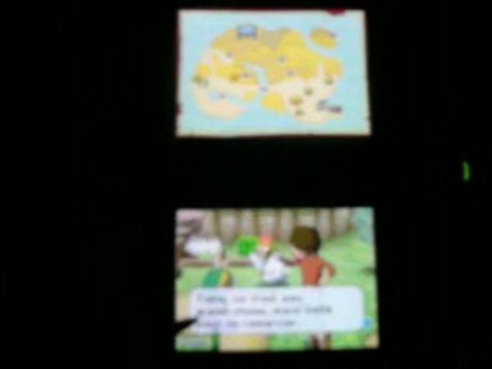 The legend of Zelda Phantom Hourglass (Nintendo DS)