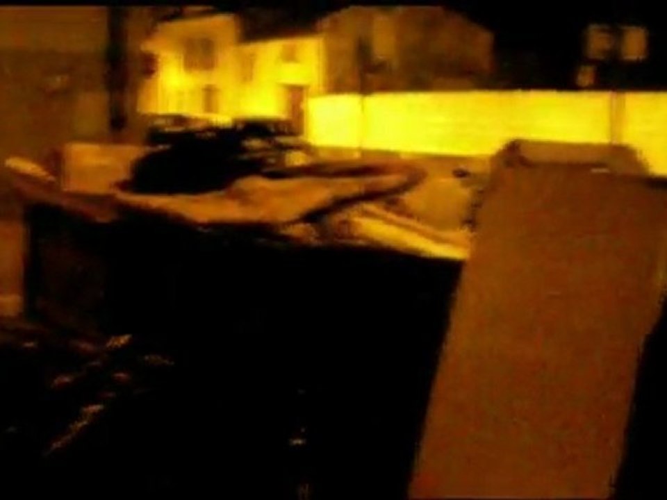 Zakia « halal »...pour chat (en partenariat avec la SFCVH-Mosquée de Paris)