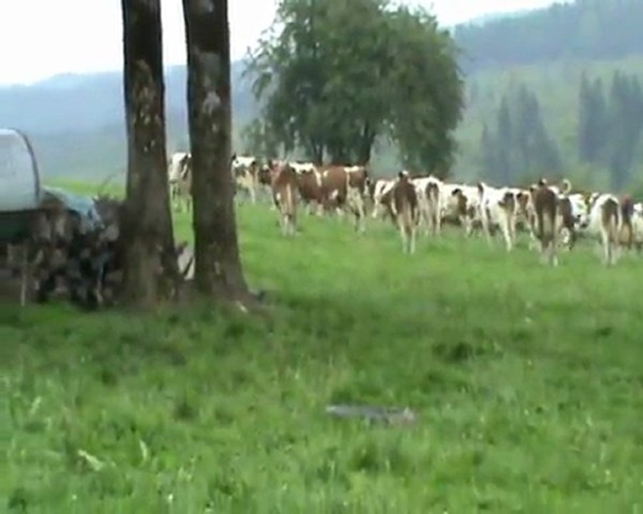 Upie vallar kor