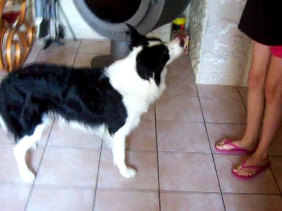 Entraînement Lucky Obé-Rythmée ♥